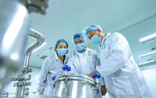 科技賦能張掖農特產品提質增效，植物工廠引領農業現代化